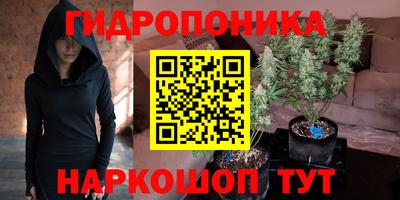 дживик Сланцы