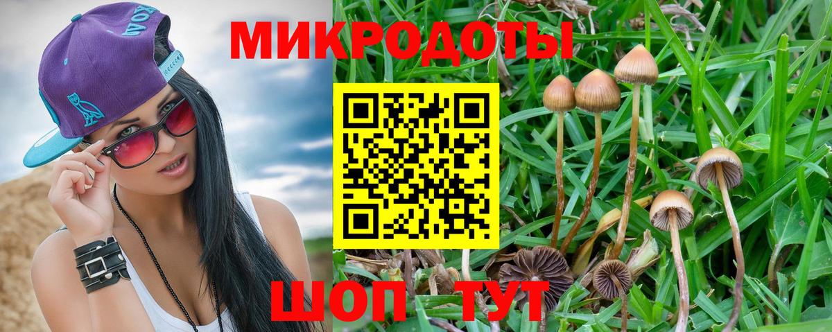 Новозыбков  Псилоцибиновые грибы Psilocybine cubensis  Вход с VPN 
